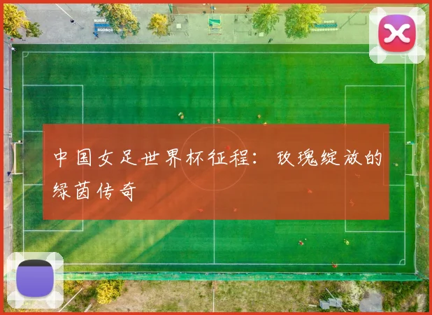 中国女足世界杯征程：玫瑰绽放的绿茵传奇