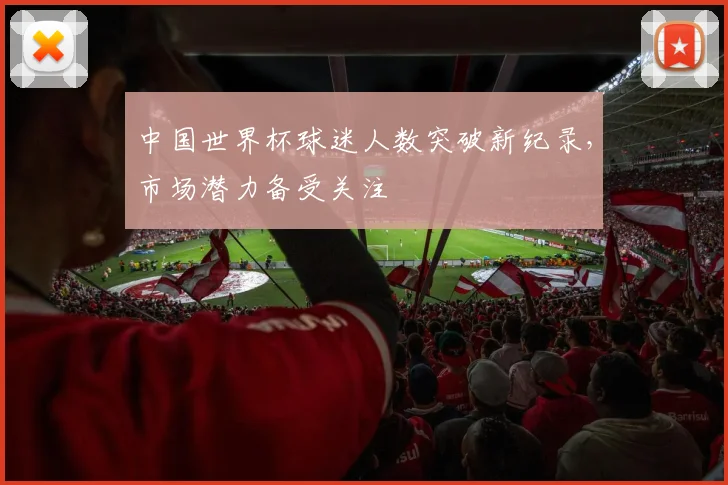 中国世界杯球迷人数突破新纪录,市场潜力备受关注
